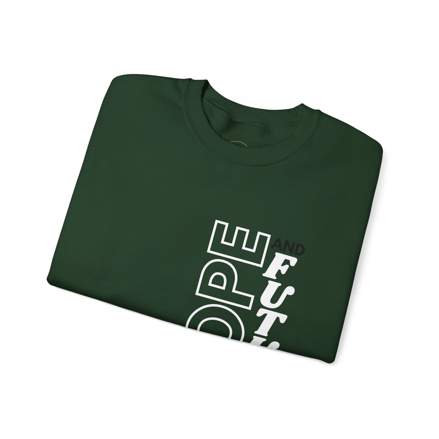 Jeremiah 29:11 Sweatshirt
