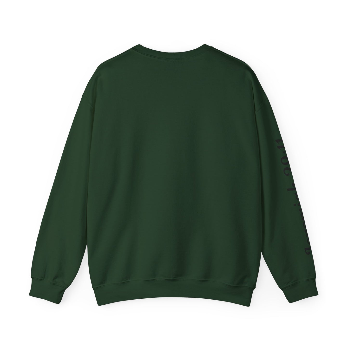 Jeremiah 29:11 Sweatshirt