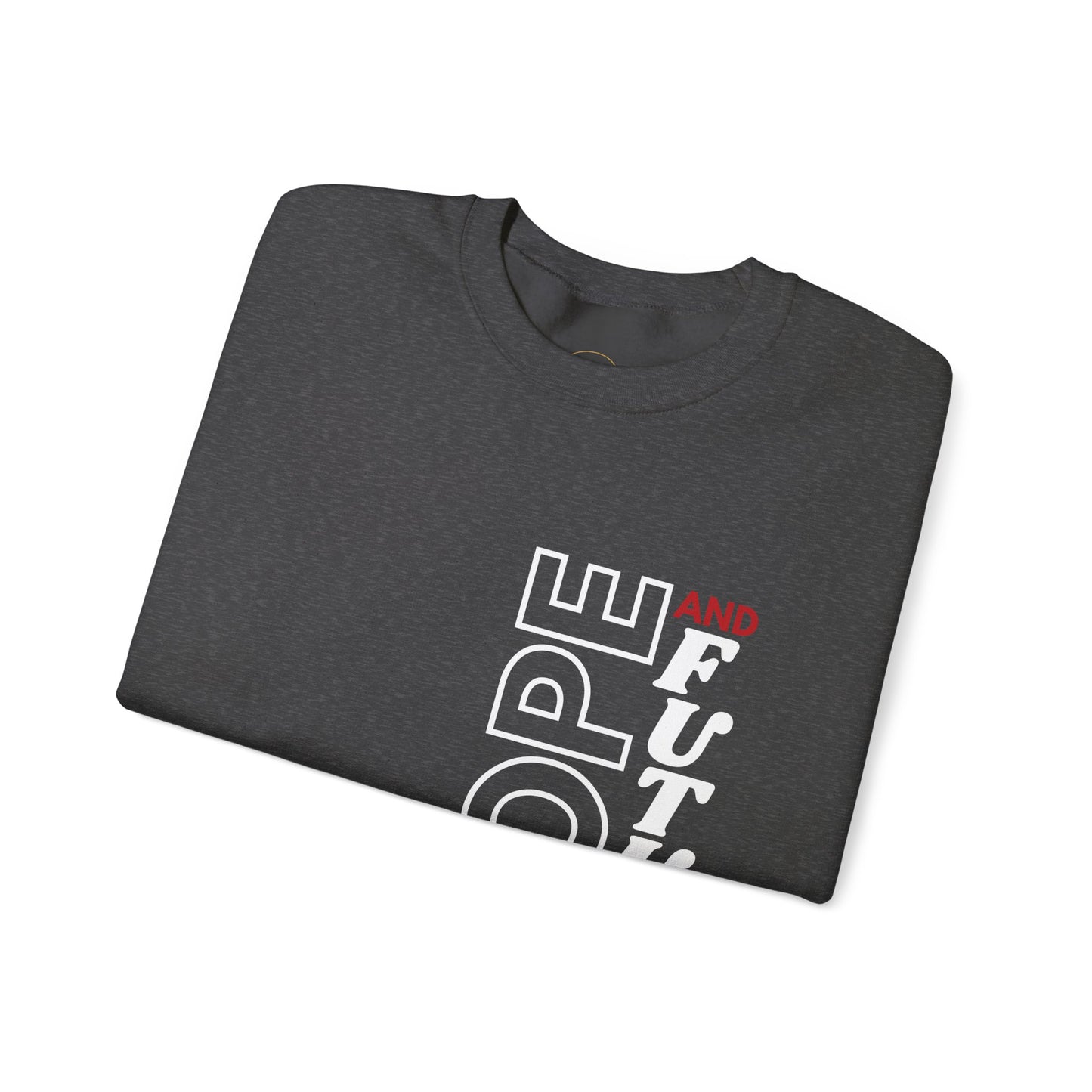 Jeremiah 29:11 Sweatshirt