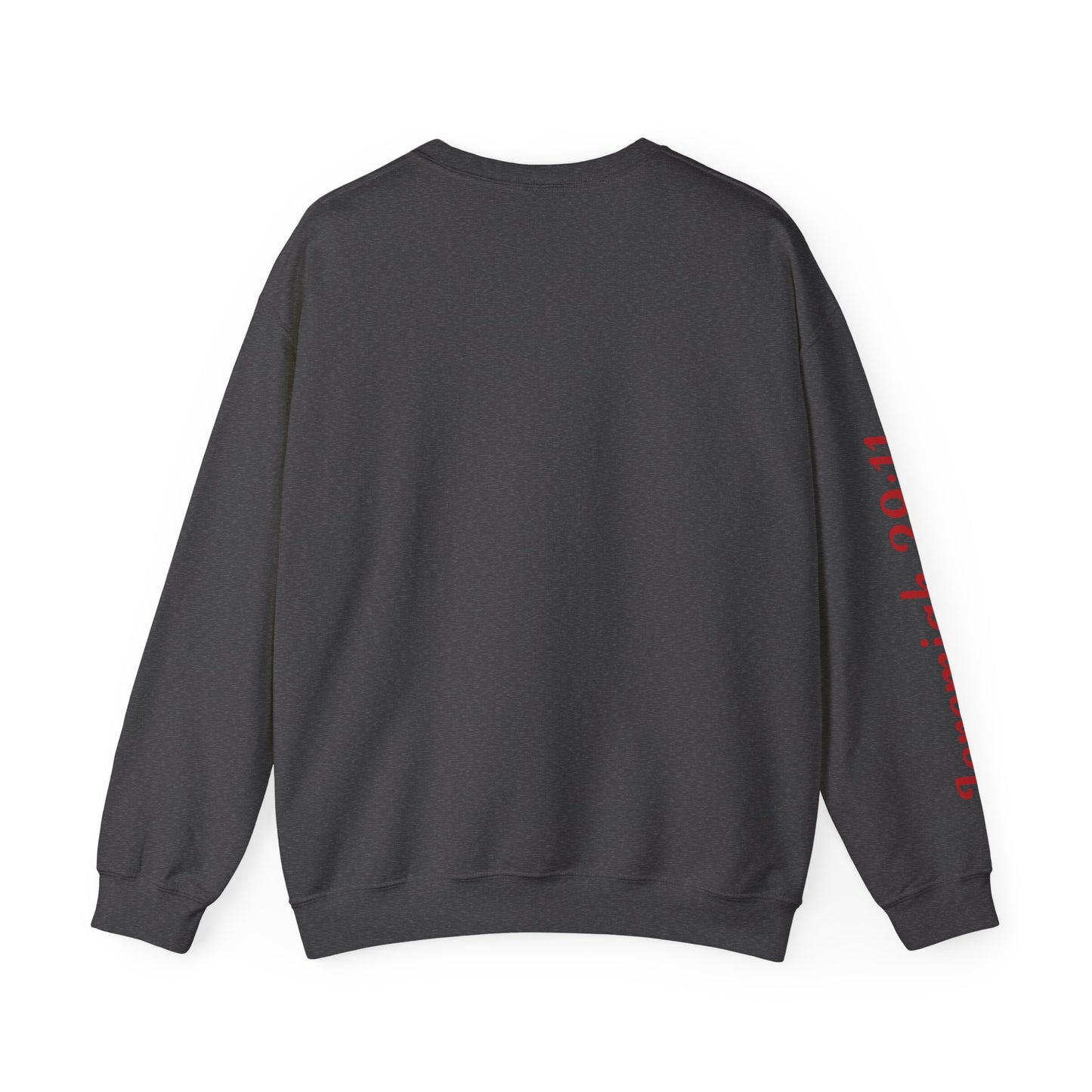 Jeremiah 29:11 Sweatshirt